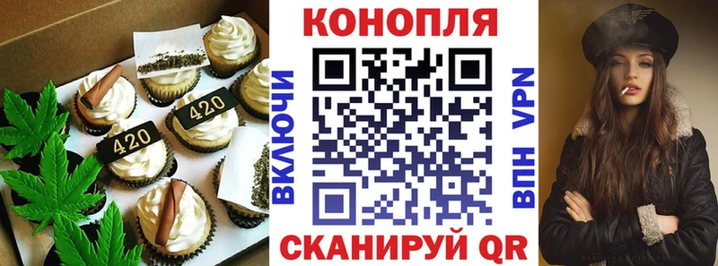 Купить  Болхов  Canna-Cookies конопля 