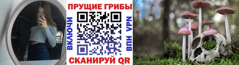 Купить закладки  Болхов  Галлюциногенные грибы мухоморы 